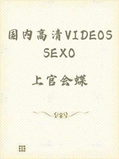 国内高清VIDEOSSEXO