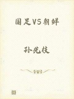 国足VS朝鲜
