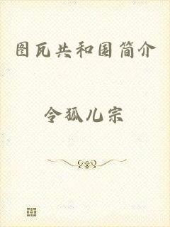 图瓦共和国简介