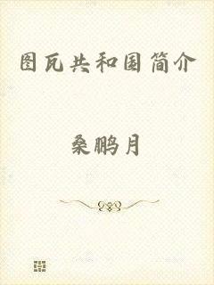 图瓦共和国简介