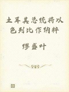 土耳其总统将以色列比作纳粹