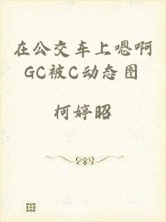 在公交车上嗯啊GC被C动态图