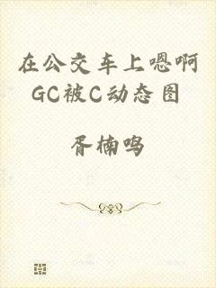 在公交车上嗯啊GC被C动态图
