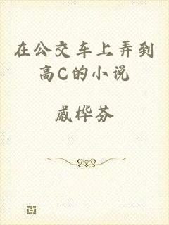 在公交车上弄到高C的小说