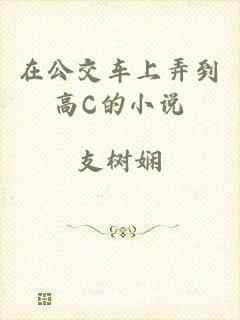 在公交车上弄到高C的小说