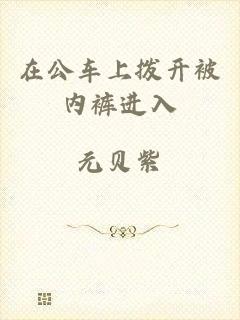 在公车上拨开被内裤进入
