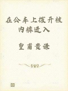 在公车上拨开被内裤进入