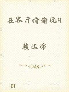 在客厅偷偷玩H