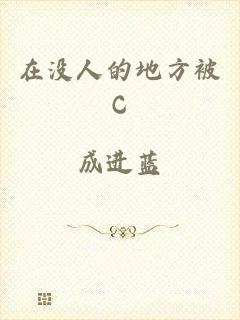 在没人的地方被C
