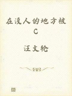 在没人的地方被C