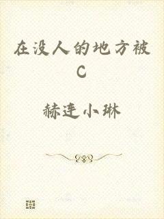 在没人的地方被C