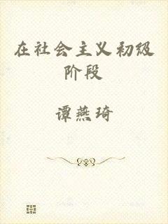 在社会主义初级阶段