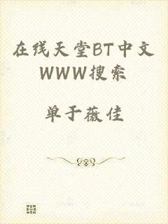 在线天堂BT中文WWW搜索