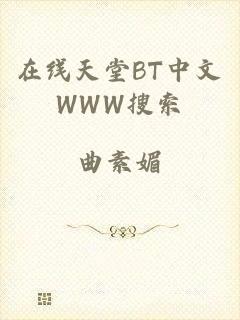 在线天堂BT中文WWW搜索