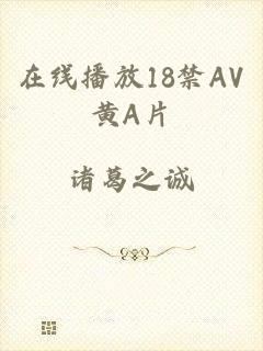 在线播放18禁AV黄A片