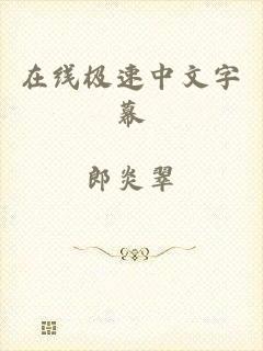 在线极速中文字幕