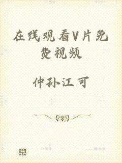 在线观看V片免费视频