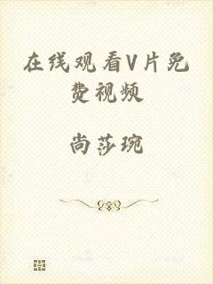 在线观看V片免费视频