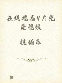在线观看V片免费视频