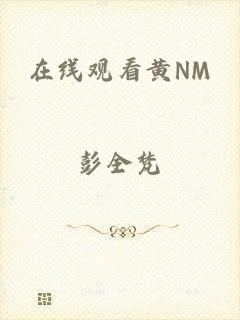在线观看黄NM