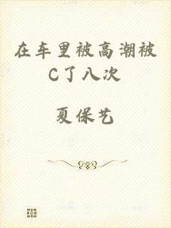 在车里被高潮被C了八次