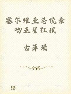 塞尔维亚总统亲吻五星红旗