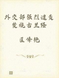 外交部强烈谴责焚烧古兰经