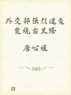 外交部强烈谴责焚烧古兰经