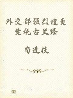 外交部强烈谴责焚烧古兰经