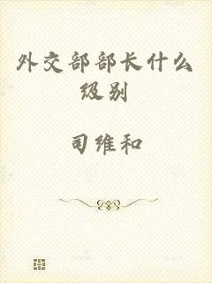 外交部部长什么级别