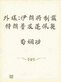 外媒:伊朗将制裁特朗普及蓬佩奥