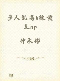 多人乱高h辣黄文np