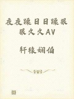 夜夜躁日日躁狠狠久久AV