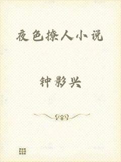 夜色撩人小说