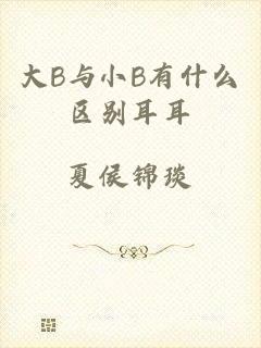 大B与小B有什么区别耳耳