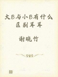 大B与小B有什么区别耳耳