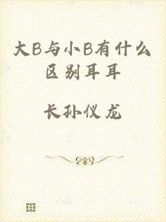 大B与小B有什么区别耳耳