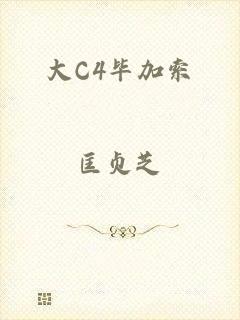 大C4毕加索