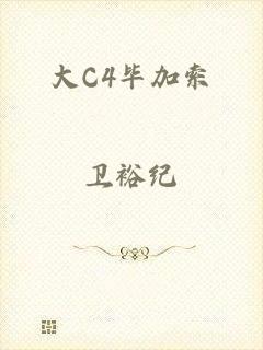 大C4毕加索