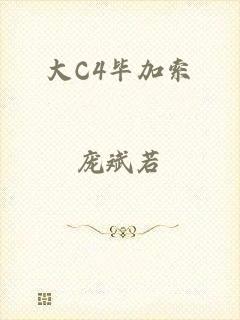 大C4毕加索