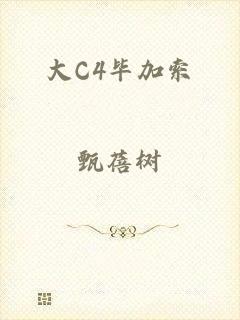 大C4毕加索