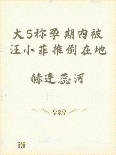 大S称孕期内被汪小菲推倒在地