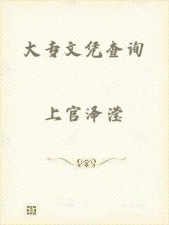大专文凭查询