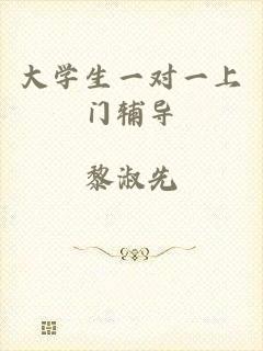 大学生一对一上门辅导