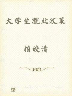 大学生就业政策
