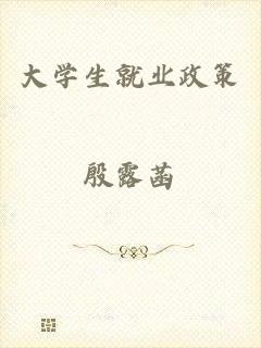 大学生就业政策