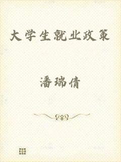 大学生就业政策