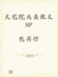 大宅院共妻辣文NP