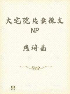 大宅院共妻辣文NP
