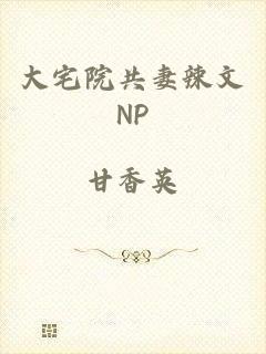 大宅院共妻辣文NP